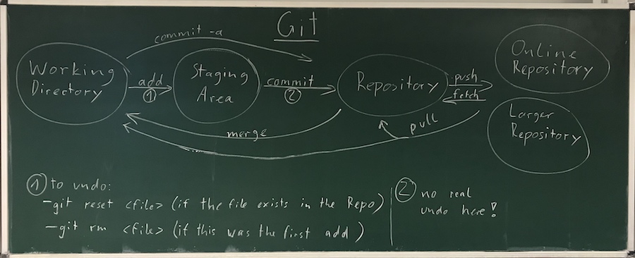 the structure of a git repository
