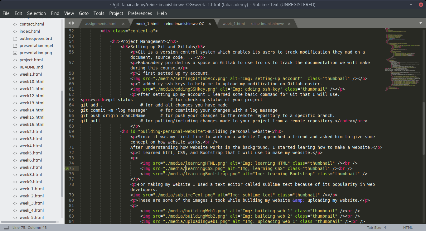 Img: sublime text